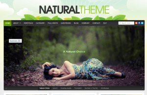 Best wordpress themes 2012 - Natural theme