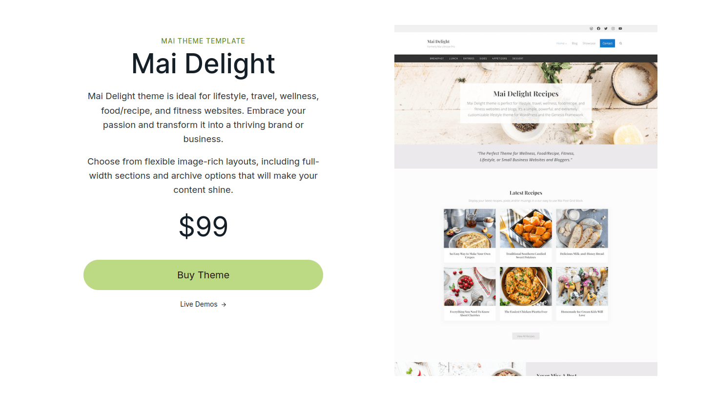 Delight Professional WordPress Theme