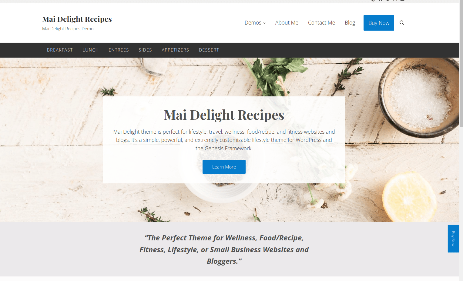 Delight Professional WordPress Theme