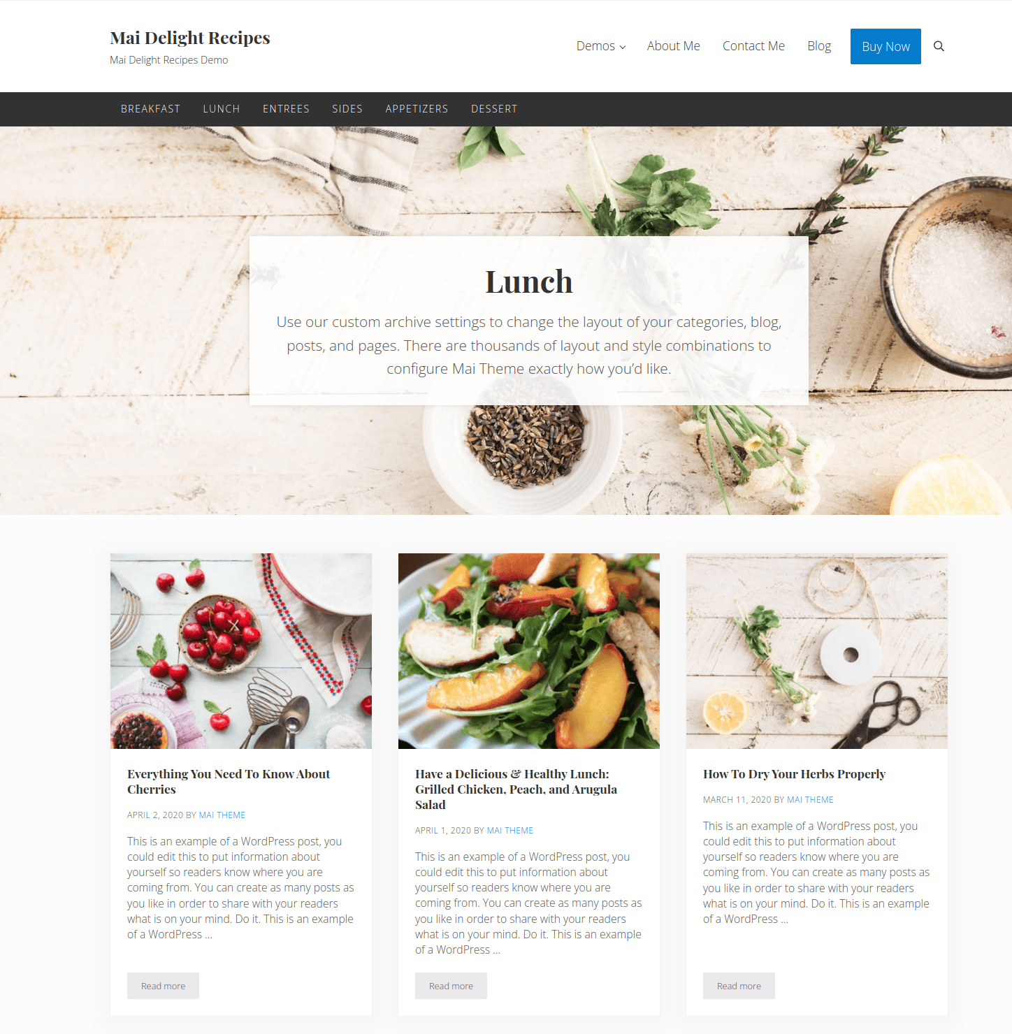 Delight Professional WordPress Theme